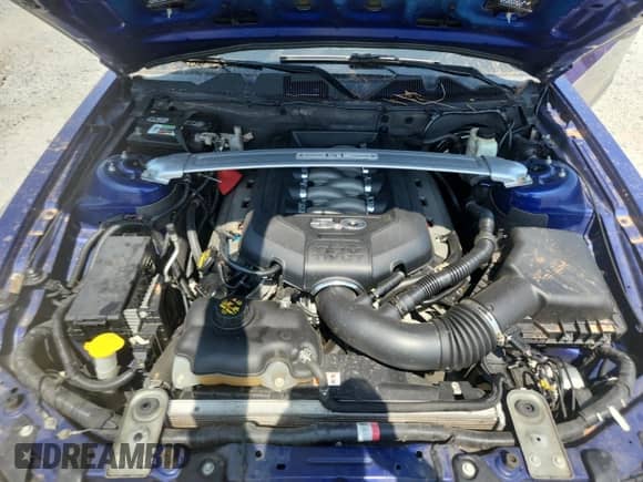 2014 Ford Mustang GT with VIN 1ZVBP8CF2E5258465, listed as a Copart auction lot 80311175 with 157,530 mi miles and Salvage title. Bid and sale history available at DreamBid. Image 11.
