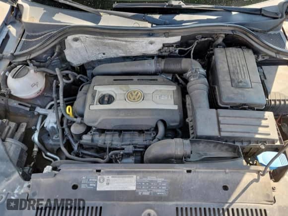 2010 Volkswagen Tiguan S с VIN WVGAV7AX3AW000272, выставлен на аукционе Copart как лот 80564365 с пробегом 162 060 миль миль и Списание • Salvage title. История ставок и продаж доступна на DreamBid. Изображение 11.