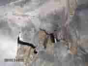 2001 Chevrolet S-10 LS с VIN 1GCCS195218201980, выставлен на аукционе IAAI как лот 42509504 с пробегом Не указан миль и . История ставок и продаж доступна на DreamBid. Изображение 6.