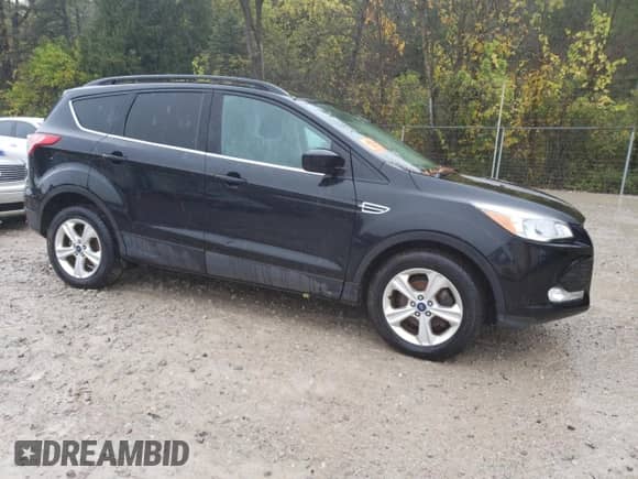 2014 Ford Escape SE with VIN 1FMCU0GX1EUD64105, listed as a Copart auction lot 82298125 with Not provided miles and Clean title. Bid and sale history available at DreamBid. Image 4.