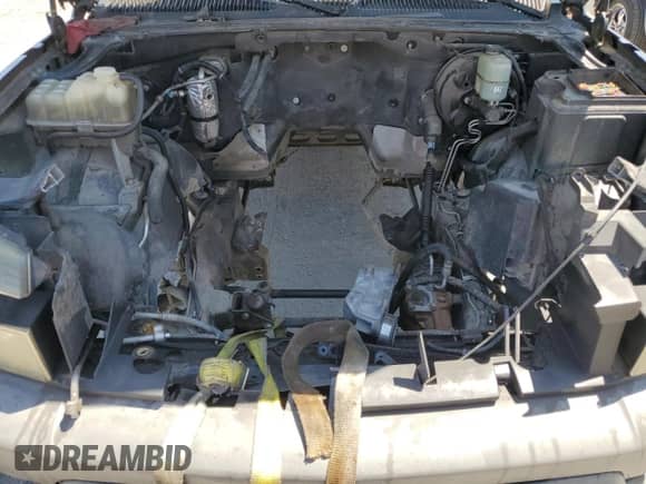 2002 Chevrolet Avalanche z VIN 3GNEC13T32G117490, wystawiony jako Copart lot #64336085 z przebiegiem Nie podano mil oraz Szkoda całkowita • Salvage title. Historia ofert i sprzedaży dostępna na DreamBid. Obrazek 11.