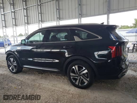 2024 Kia Sorento EX with VIN KNDRHDLGXR5247719, listed as a Copart auction lot 62194695 with 30,173 mi miles and Salvage title. Bid and sale history available at DreamBid. Image 2.