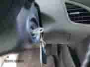 2011 Hyundai Elantra GLS с VIN 5NPDH4AE1BH052674, выставлен на аукционе IAAI как лот 42893205 с пробегом 158 307 миль миль и . История ставок и продаж доступна на DreamBid. Изображение 11.