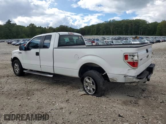 2013 Ford F-150 XL with VIN 1FTFX1CF0DKD28637, listed as a Copart auction lot 69933525 with 252,341 mi miles and Clean title. Bid and sale history available at DreamBid. Image 2.