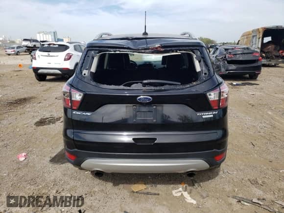 2017 Ford Escape Titanium with VIN 1FMCU0JDXHUE31593, listed as a Copart auction lot 81725245 with 122,557 mi miles and Salvage title. Bid and sale history available at DreamBid. Image 6.