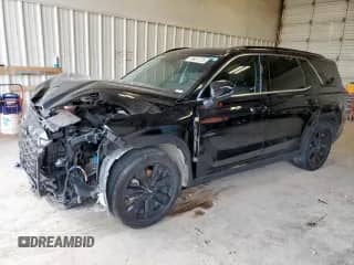 2023 Hyundai Palisade XRT с VIN KM8R3DGE9PU630783, выставлен на аукционе Copart как лот 58802235 с пробегом 41 286 миль миль и Списание • Salvage title. История ставок и продаж доступна на DreamBid. Изображение 1.