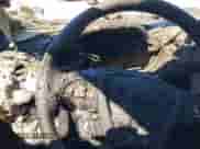 2017 Ford Escape SE с VIN 1FMCU9GD1HUB41903, выставлен на аукционе IAAI как лот 43164496 с пробегом 100 061 миль миль и . История ставок и продаж доступна на DreamBid. Изображение 7.