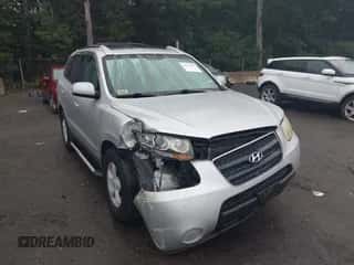 2007 Hyundai Santa Fe GLS z VIN 5NMSG13D27H090481, wystawiony jako IAAI lot #43024207 z przebiegiem 76 843 mil mil oraz . Historia ofert i sprzedaży dostępna na DreamBid. Obrazek 6.