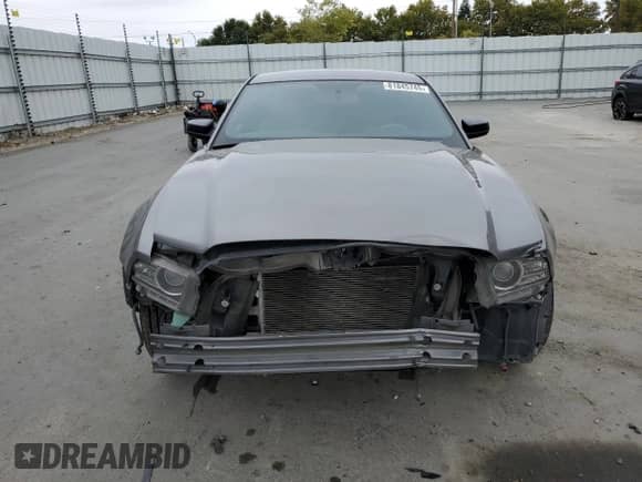 2014 Ford Mustang V6 with VIN 1ZVBP8AM1E5224499, listed as a Copart auction lot 81845745 with 169,504 mi miles and Salvage title. Bid and sale history available at DreamBid. Image 5.