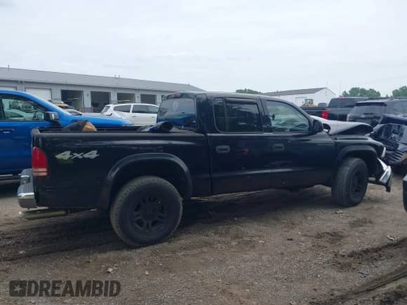 2004 Dodge Dakota SLT with VIN 1D7HG48N84S665038, listed as a IAAI auction lot 42568882 with 147,445 mi miles and . Bid and sale history available at DreamBid. Image 13.