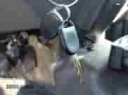 2009 Ford F-150 STX with VIN 1FTRX14829KC64119, listed as a IAAI auction lot 43153906 with 289,319 mi miles and . Bid and sale history available at DreamBid. Image 11.