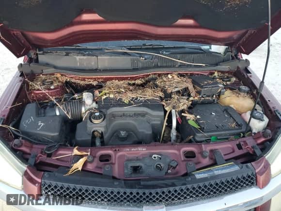 2007 Chevrolet Equinox LT с VIN 2CNDL63F676119518, выставлен на аукционе Copart как лот 76180124 с пробегом Не указан миль и Списание • Salvage title. История ставок и продаж доступна на DreamBid. Изображение 12.