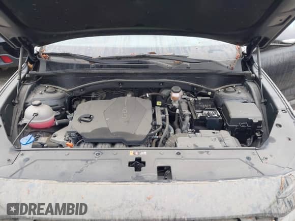 2023 Hyundai Santa Fe SEL с VIN 5NMS2DAJ3PH611443, выставлен на аукционе IAAI как лот 42981782 с пробегом Не указан миль и . История ставок и продаж доступна на DreamBid. Изображение 10.