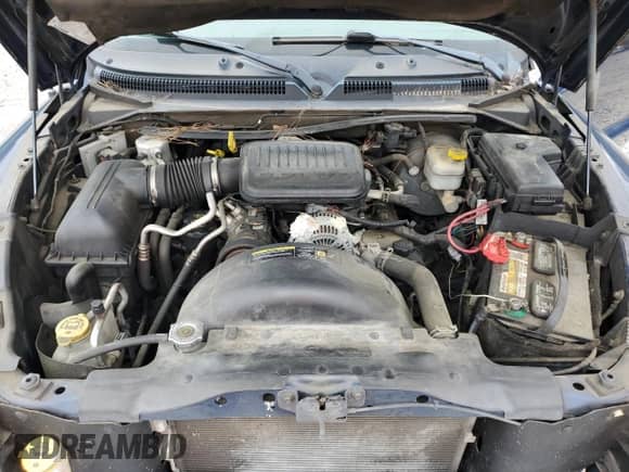 2005 Dodge Dakota SLT with VIN 1D7HE42K85S313874, listed as a Copart auction lot 84901335 with Not provided miles and Clean title. Bid and sale history available at DreamBid. Image 11.