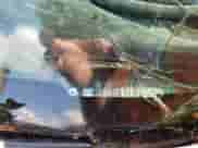 1999 Chevrolet Blazer LS z VIN 1GNCS13W7X2162386, wystawiony jako Copart lot #75060354 z przebiegiem 190 289 mil mil oraz Szkoda całkowita • Salvage title. Historia ofert i sprzedaży dostępna na DreamBid. Obrazek 12.