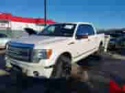 2011 Ford F-150 XLT z VIN 1FTFW1ETXBFB21698, wystawiony jako IAAI lot #41320154 z przebiegiem 119 765 mil mil oraz . Historia ofert i sprzedaży dostępna na DreamBid. Obrazek 2.