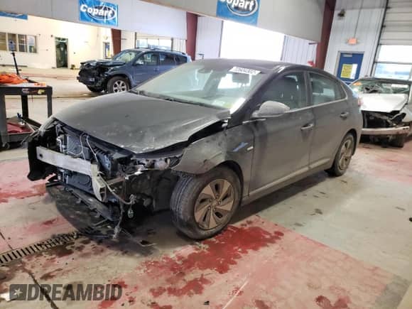 2017 Hyundai Ioniq SEL z VIN KMHC75LC0HU053776, wystawiony jako Copart lot #72604302 z przebiegiem 138 273 mil mil oraz . Historia ofert i sprzedaży dostępna na DreamBid. Obrazek 1.