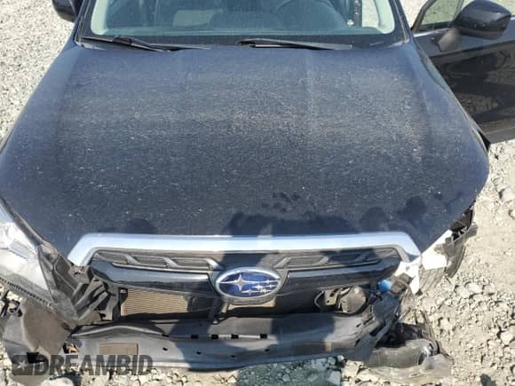 2018 Subaru Forester Premium with VIN JF2SJGEC3JH490956, listed as a Copart auction lot 62378155 with 97,134 mi miles and Salvage title. Bid and sale history available at DreamBid. Image 12.