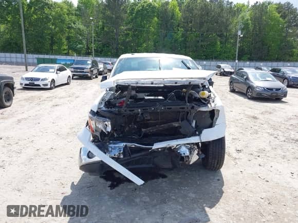 2014 Ford F-150 XL z VIN 1FTEX1CM8EFA23603, wystawiony jako IAAI lot #42111363 z przebiegiem 229 088 mil mil oraz . Historia ofert i sprzedaży dostępna na DreamBid. Obrazek 6.