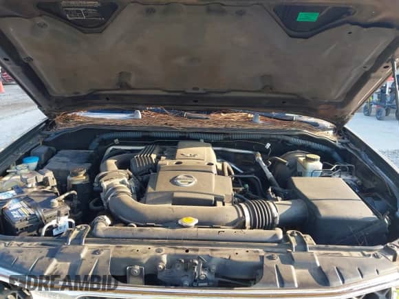 2006 Nissan Frontier SE with VIN 1N6AD06U96C471992, listed as a IAAI auction lot 42944936 with 200,357 mi miles and . Bid and sale history available at DreamBid. Image 10.