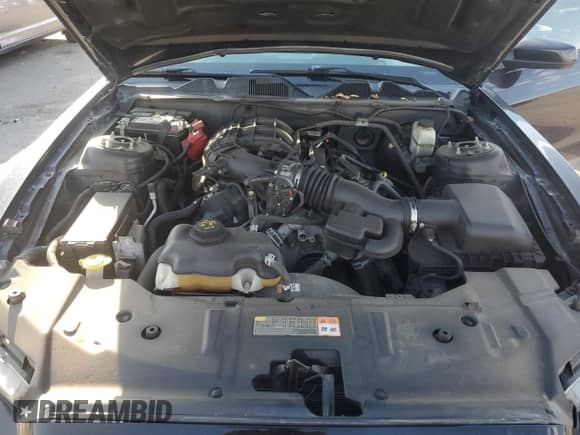 2014 Ford Mustang V6 with VIN 1ZVBP8AM5E5321074, listed as a Copart auction lot 64619715 with 119,867 mi miles and Salvage title. Bid and sale history available at DreamBid. Image 11.