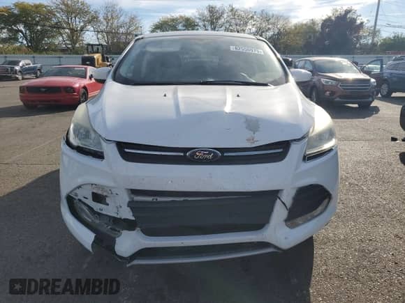 2014 Ford Escape SE с VIN 1FMCU0GX2EUD85934, выставлен на аукционе Copart как лот 82550975 с пробегом 156 384 миль миль и Списание • Salvage title. История ставок и продаж доступна на DreamBid. Изображение 5.