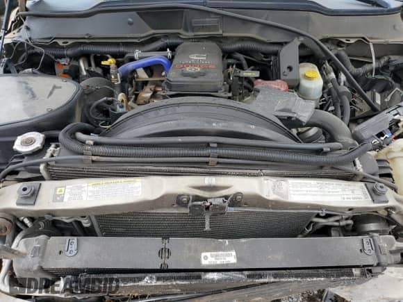 2008 Dodge 2500 SLT with VIN 3D7KS28A78G137610, listed as a Copart auction lot 67636825 with Not provided miles and Salvage title. Bid and sale history available at DreamBid. Image 11.