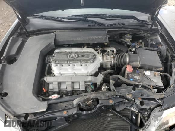 2009 Acura TL Technology с VIN 19UUA96569A001037, выставлен на аукционе Copart как лот 69570575 с пробегом 126 350 миль миль и Списание • Salvage title. История ставок и продаж доступна на DreamBid. Изображение 11.