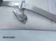 2015 Ram 1500 Tradesman with VIN 1C6RR6FT7FS658887, listed as a IAAI auction lot 41902564 with 66,520 mi miles and . Bid and sale history available at DreamBid. Image 11.