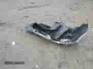 2010 Nissan Cube SL с VIN JN8AZ2KR1AT167604, выставлен на аукционе Copart как лот 56735215 с пробегом 169 416 миль миль и Списание • Salvage title. История ставок и продаж доступна на DreamBid. Изображение 12.