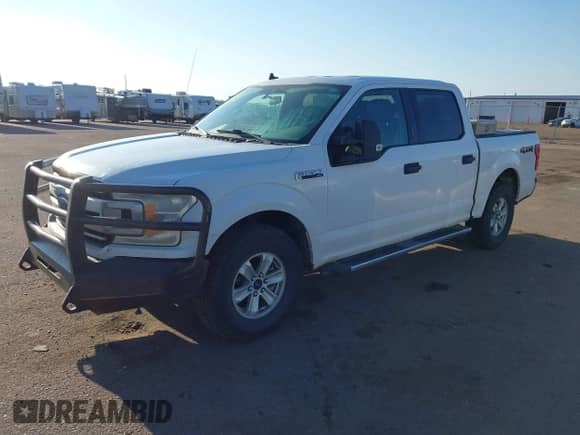 2019 Ford F-150 XL with VIN 1FTEW1E57KFA46035, listed as a IAAI auction lot 43026816 with 129,079 mi miles and . Bid and sale history available at DreamBid. Image 2.