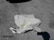 2006 Chrysler 300 with VIN 2C3KA43R96H471564, listed as a Copart auction lot 70431955 with Not provided miles and Salvage title. Bid and sale history available at DreamBid. Image 12.