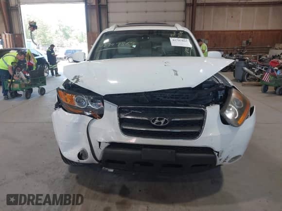 2009 Hyundai Santa Fe Limited с VIN 5NMSH73E29H307040, выставлен на аукционе IAAI как лот 42747865 с пробегом 135 818 миль миль и . История ставок и продаж доступна на DreamBid. Изображение 6.