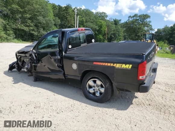 2004 Dodge 1500 SLT with VIN 1D7HU16DX4J276876, listed as a Copart auction lot 65015435 with 285,394 mi miles and Clean title. Bid and sale history available at DreamBid. Image 2.