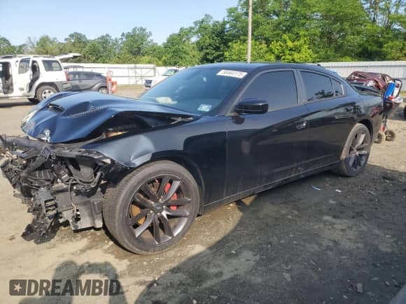 2016 Dodge Charger R/T with VIN 2C3CDXCTXGH104909, listed as a Copart auction lot 58464175 with 135,097 mi miles and Salvage title. Bid and sale history available at DreamBid. Image 1.