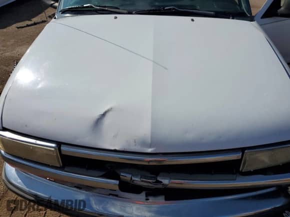 1998 Chevrolet Blazer LS with VIN 1GNCS18W7WK173069, listed as a Copart auction lot 71709615 with 193,734 mi miles and Salvage title. Bid and sale history available at DreamBid. Image 12.