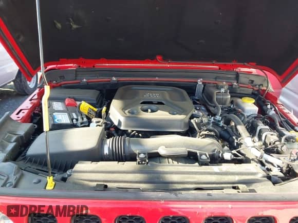 2021 Jeep Wrangler Unlimited Willys с VIN 1C4HJXDN1MW779815, выставлен на аукционе IAAI как лот 41923859 с пробегом 29 909 миль миль и . История ставок и продаж доступна на DreamBid. Изображение 10.