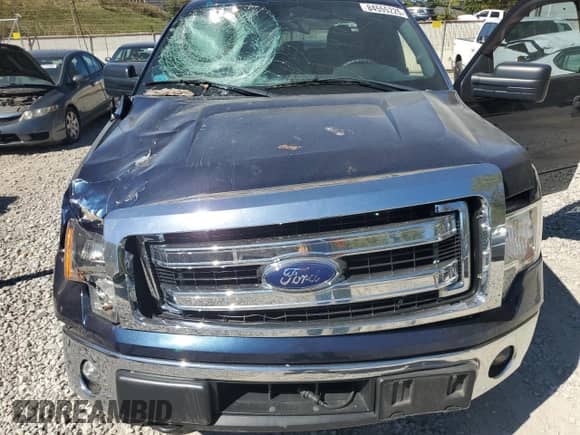 2014 Ford F-150 FX4 with VIN 1FTFW1ET1EFC98659, listed as a Copart auction lot 84555225 with 76,947 mi miles and Salvage title. Bid and sale history available at DreamBid. Image 11.