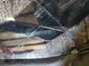 2022 Hyundai Tucson N Line z VIN KM8JFCAE1NU169065, wystawiony jako Copart lot #84655095 z przebiegiem Nie podano mil oraz Nie do naprawy • Non repairable. Historia ofert i sprzedaży dostępna na DreamBid. Obrazek 14.