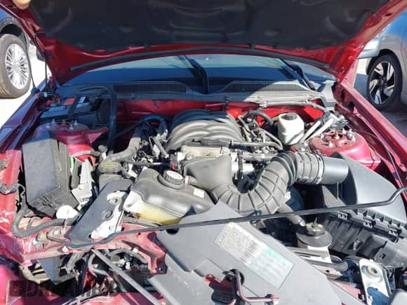 2006 Ford Mustang GT Deluxe z VIN 1ZVFT85H865193554, wystawiony jako IAAI lot #43188971 z przebiegiem 65 402 mil mil oraz . Historia ofert i sprzedaży dostępna na DreamBid. Obrazek 10.