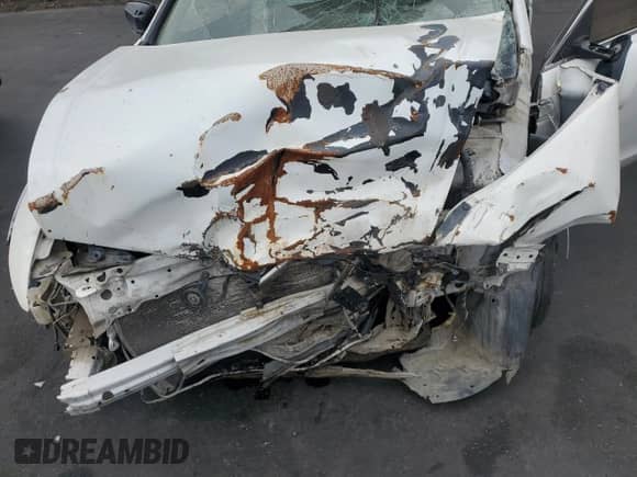 2010 Honda Accord EX with VIN 5KBCP3F72AB009981, listed as a Copart auction lot 82339875 with Not provided miles and Salvage title. Bid and sale history available at DreamBid. Image 11.