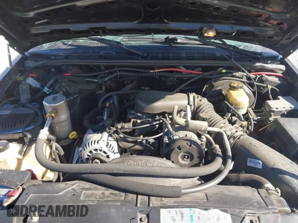 2000 Chevrolet Blazer LS с VIN 1GNCS18W5YK255241, выставлен на аукционе IAAI как лот 41356201 с пробегом 232 844 миль миль и . История ставок и продаж доступна на DreamBid. Изображение 10.