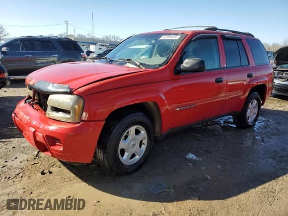 2002 Chevrolet TrailBlazer LS with VIN 1GNDT13S722281272, listed as a Copart auction lot 42205455 with Not provided miles and Salvage title. Bid and sale history available at DreamBid. Image 1.