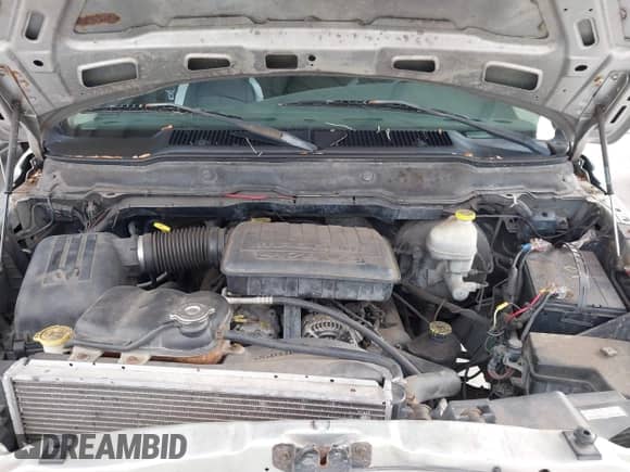 2003 Dodge 1500 ST z VIN 1D7HA18NX3J507160, wystawiony jako IAAI lot #43590139 z przebiegiem 196 377 mil mil oraz . Historia ofert i sprzedaży dostępna na DreamBid. Obrazek 10.