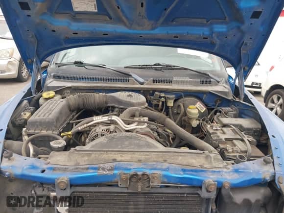 1998 Dodge Dakota SLT with VIN 1B7GG22Y5WS615441, listed as a IAAI auction lot 43046552 with 168,033 mi miles and . Bid and sale history available at DreamBid. Image 10.