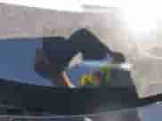 2025 BMW M3 Competition xDrive z VIN WBS33HJ05SFU14546, wystawiony jako IAAI lot #42067298 z przebiegiem 367 mil mil oraz . Historia ofert i sprzedaży dostępna na DreamBid. Obrazek 9.