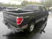 2009 Ford F-150 XL with VIN 1FTPX14V69FA92649, listed as a Copart auction lot 86142405 with 118,014 mi miles and Clean title. Bid and sale history available at DreamBid. Image 4.