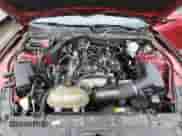 2017 Ford Mustang EcoBoost Premium с VIN 1FA6P8TH3H5231209, выставлен на аукционе Copart как лот 89716665 с пробегом 110 664 миль миль и Чистый • Clean title. История ставок и продаж доступна на DreamBid. Изображение 11.