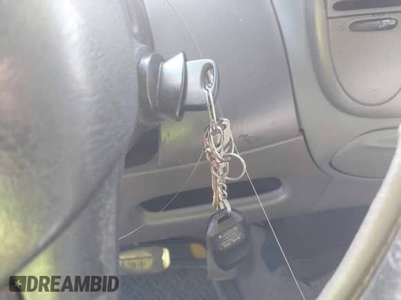 1999 Ford F-150 XL with VIN 1FTRX17LXXNB33919, listed as a IAAI auction lot 43216553 with 428,154 mi miles and . Bid and sale history available at DreamBid. Image 11.