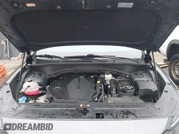 2022 Hyundai Santa Fe XRT с VIN 5NMS6DAJ4NH409308, выставлен на аукционе IAAI как лот 41187786 с пробегом 24 951 миль миль и . История ставок и продаж доступна на DreamBid. Изображение 10.